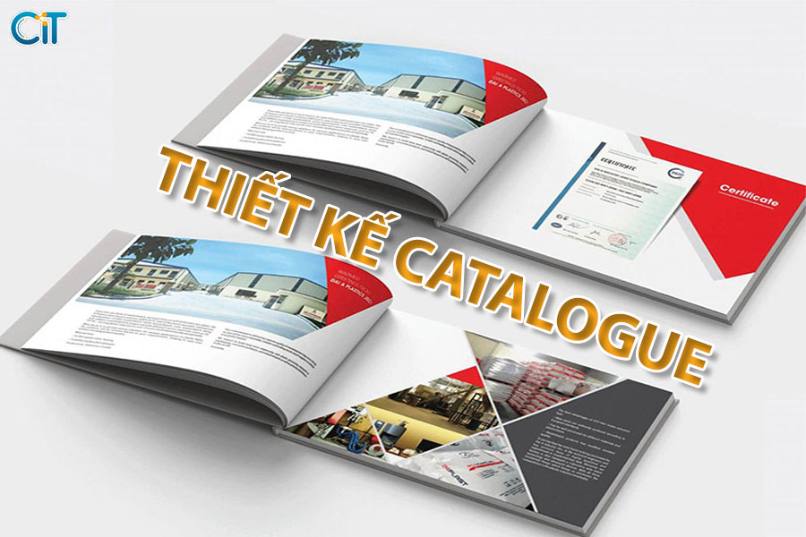 thiet-ke-catalogue