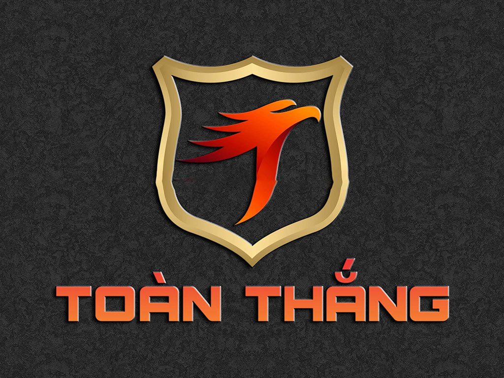 logo-toan-thang